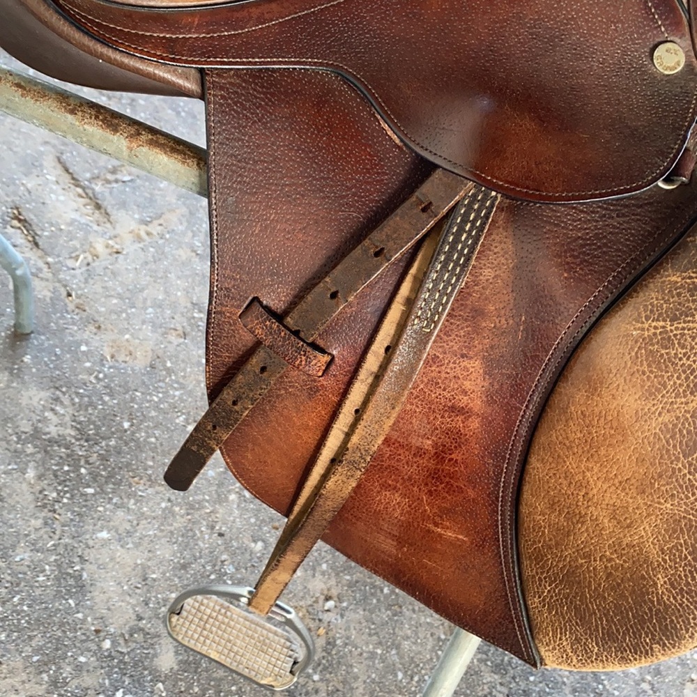 Collegiate All Purpose English Youth Saddle 15 3/4” seat wide tree